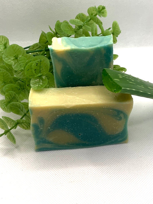 Healing Waters Face and Soap Bar